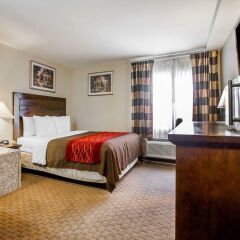 Отель Comfort Inn Monterey Park 3* Стандартный номер