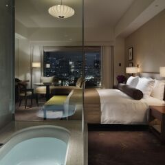 Palace Hotel Tokyo 5* Номер Делюкс фото 13