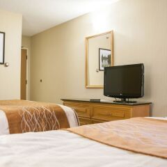 Отель Comfort Inn Brossard 2* Стандартный номер с различными типами кроватей