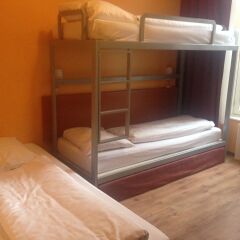 Budget Hotel The Orange Tulip Стандартный номер с различными типами кроватей фото 2