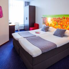 Отель ibis Styles Amsterdam City Нидерланды, Амстердам - 2 отзыва об отеле, цены и фото номеров - забронировать отель ibis Styles Amsterdam City онлайн комната для гостей