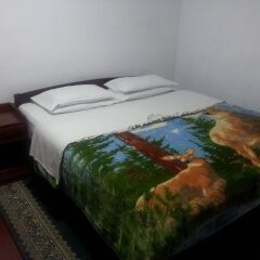 Andrews Hostel Стандартный номер с различными типами кроватей