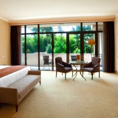Georgia Palace Hotel & SPA 5* Номер Делюкс с различными типами кроватей