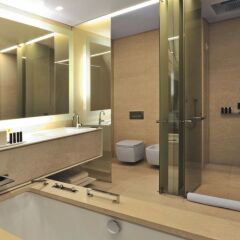 Отель Hyatt Centric Levent Istanbul удобства в ванной комнате