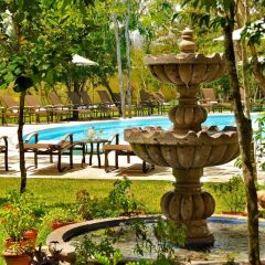 Отель Courtyard By Marriott Cancun Airport Мексика, Канкун - отзывы, цены и фото номеров - забронировать отель Courtyard By Marriott Cancun Airport онлайн сад
