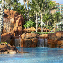 Отель The Cove at Atlantis, Autograph Collection водопад у бассейна
