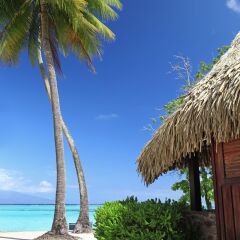 Отель Sofitel Moorea la Ora Beach Resort 5* Бунгало Luxury beach front с различными типами кроватей