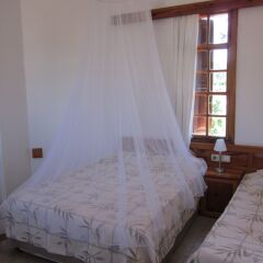 Elze Hotel 3* Стандартный номер с различными типами кроватей