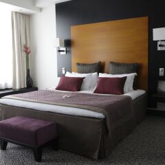 Отель Crowne Plaza Helsinki, an IHG Hotel Финляндия, Хельсинки - - забронировать отель Crowne Plaza Helsinki, an IHG Hotel, цены и фото номеров комната для гостей