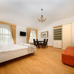 Apelsin Hotel on Tverskoy Boulevard 2* Номер Делюкс разные типы кроватей