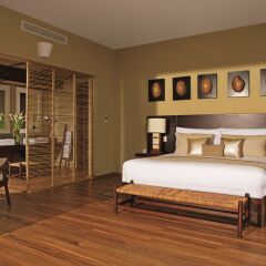 Отель Zoetry Agua Punta Cana All Inclusive комната для гостей