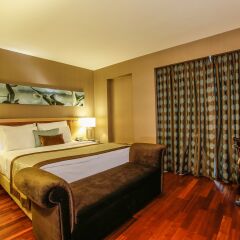 Park Dedeman Bostanci Hotel 4* Стандартный номер с различными типами кроватей