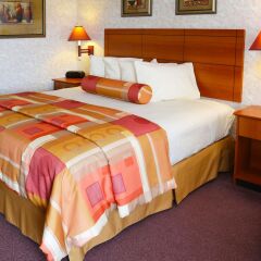 Magnuson Hotel Howell/Brighton 2* Стандартный номер с различными типами кроватей