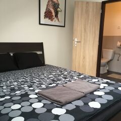 Brix Hostel Стандартный номер с различными типами кроватей