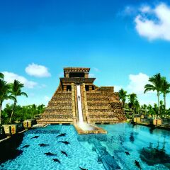 Отель The Cove at Atlantis, Autograph Collection водная горка