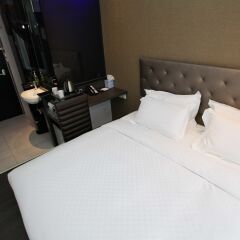 Arton Boutique Hotel 3* Номер Делюкс с различными типами кроватей