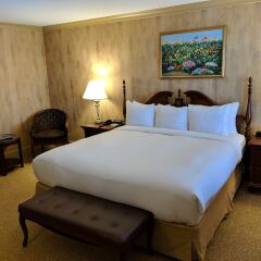 Dunhill Hotel 3* Представительский номер с различными типами кроватей