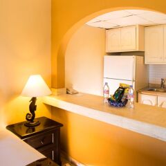 Отель Villa del Palmar Beach Resort & Spa Cabo San Lucas 3* Полулюкс с различными типами кроватей