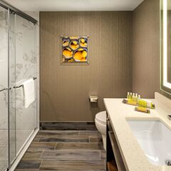 Travelodge Hotel Toronto Airport 4* Стандартный номер с различными типами кроватей