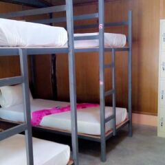 Отель Funky Fish Hostels Кровать в женском общем номере с двухъярусной кроватью