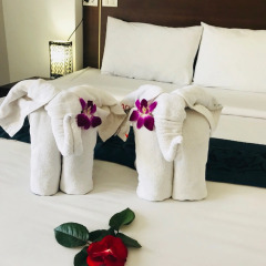 Soleluna Hotel 3* Стандартный номер с двуспальной кроватью