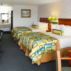 Magnuson Hotel Howell/Brighton 2* Стандартный номер с 2 отдельными кроватями