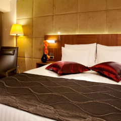 Отель Crowne Plaza Istanbul - Harbiye Номер Делюкс с различными типами кроватей