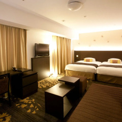 Toyama Excel Hotel Tokyu 3* Стандартный номер фото 17