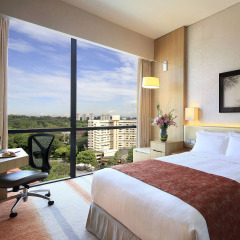 Park Hotel Alexandra 4* Номер Делюкс с различными типами кроватей
