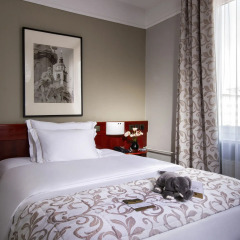 Best Western Premier Hotel Slon 4* Номер категории Эконом с двуспальной кроватью