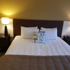 Quality Hotel Oceans Tutukaka 3* Стандартный номер с различными типами кроватей