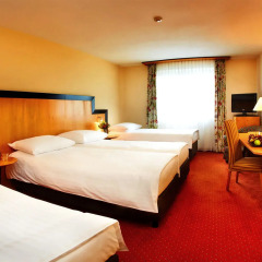 Hotel Don Giovanni Prague 4* Стандартный номер с различными типами кроватей фото 3
