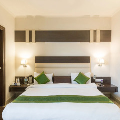 Hotel Natraj 3* Номер Делюкс с различными типами кроватей