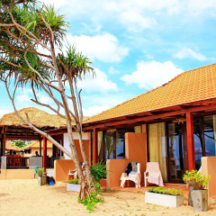 Отель Peace Paradise Beach 3* Номер Делюкс с различными типами кроватей