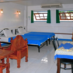 Отель Niku Guesthouse комната для гостей фото 13