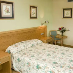 Отель Florida Spa - Adults Recommended 4* Стандартный номер с различными типами кроватей