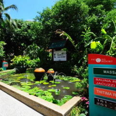 Отель Patong Resort сад