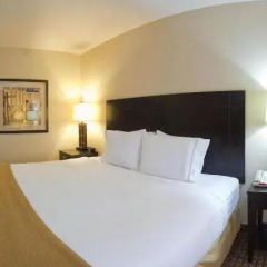 Holiday Inn Express Hotel & Suites Ozona 3* Стандартный номер фото 4