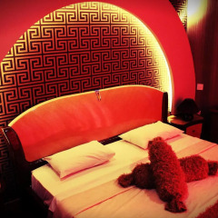 AF Hotel 4* Номер Делюкс с различными типами кроватей фото 2