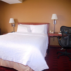 Отель Hampton Inn Gateway Arch Downtown 3* Стандартный номер с различными типами кроватей фото 2