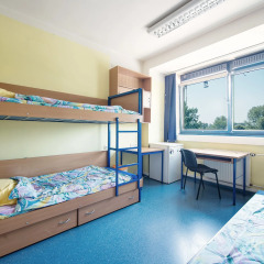 Dizzy Daisy Hostel Riviera Стандартный номер с различными типами кроватей