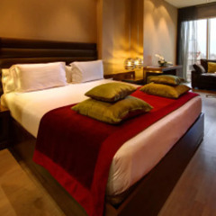 Olivia Plaza Hotel комната для гостей