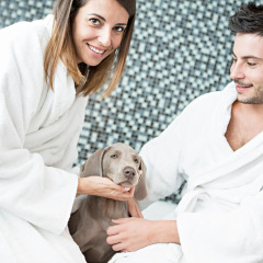 Отель Novotel Roma Eur с домашними животными