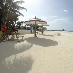Отель Honeycombe Villa by Jamaican Treasures 4* Вилла с различными типами кроватей