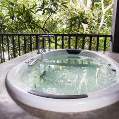 Отель Roman Lake Ayurveda Resort 4* Стандартный номер с различными типами кроватей
