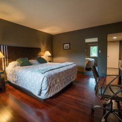 Отель Lemon Tree Inn 3* Стандартный номер с различными типами кроватей