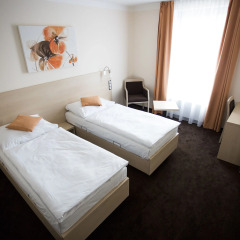 Hotel Pivovar 3* Стандартный номер с двуспальной кроватью