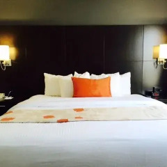 Отель Hawthorn Suites by Wyndham Columbus West 3* Люкс с различными типами кроватей фото 2