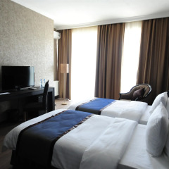 Best Western Tbilisi Art Hotel (Бест Вестерн Тбилиси Арт Отель) Номер Делюкс