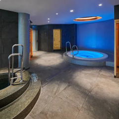 Отель Hilton Frankfurt City Centre спа